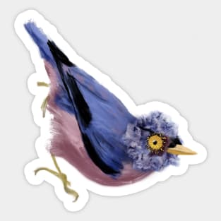 Sulphur-billed Nuthatch + Amazing Grey Poppy Sticker